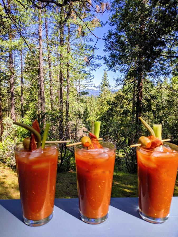 Breckenridge Chalet Near Yosemite. Dog Friendly! Groveland Exteriör bild